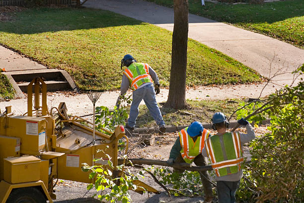 Landscape Design and Installation in Carleton, MI