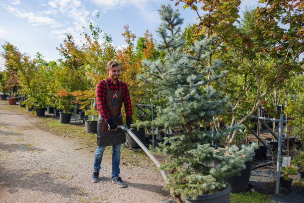 Best Stump Grinding and Removal  in Carleton, MI